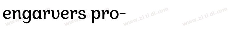 engarvers pro字体转换